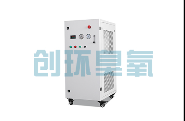 中卫工厂化养鲈必看:2026年臭氧发生器替代传统消毒的最新方案