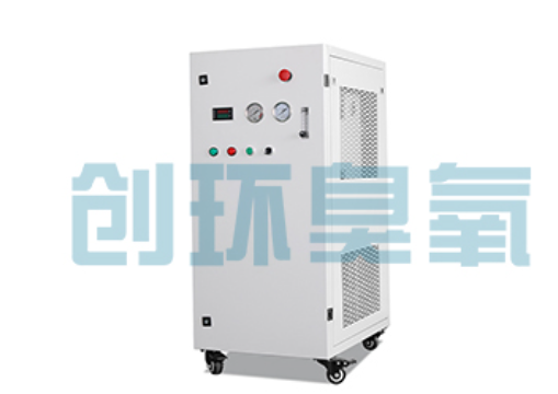 中卫石斑鱼养殖水质调控完整指南:臭氧发生器配置与操作步骤