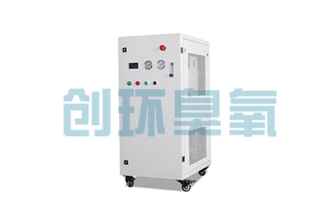 中卫比传统换水更高效?臭氧发生器在石斑鱼养殖中的水质净化原理解析